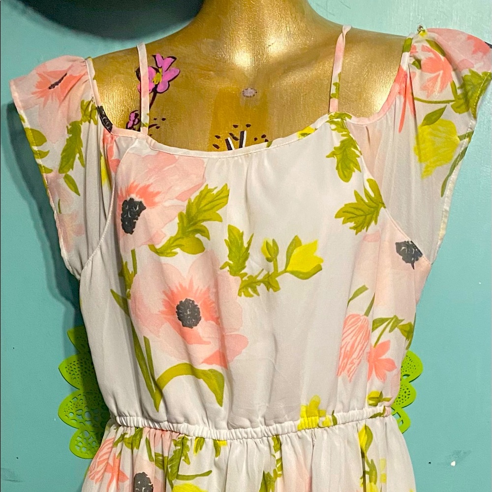 Sz Meg pink floral dress